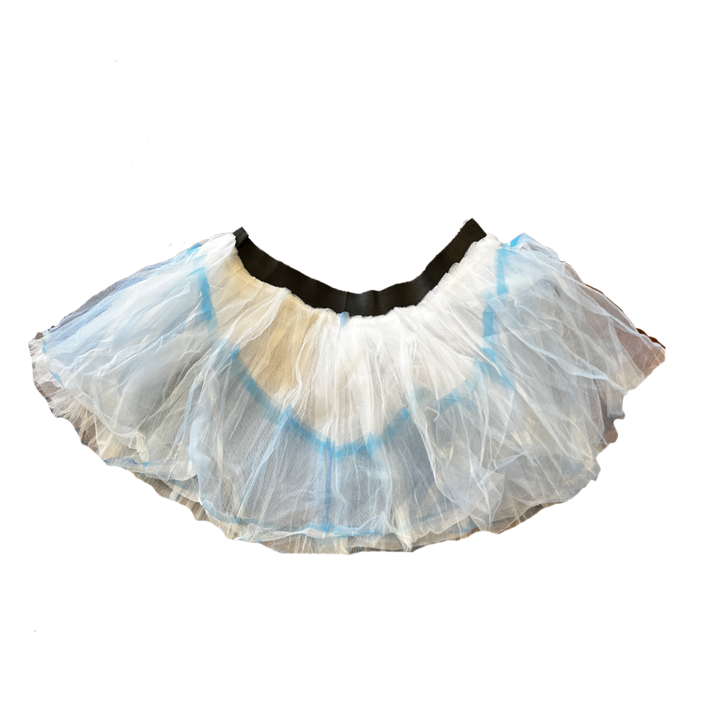 CLEARANCE Cinderella Tutu
